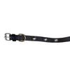 @ Nack Dog Collar Belt Brown Color 78Gm Zr-8060-60%Off
