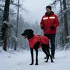 Dog Cold Weather Coats Cotton Reflective Windproof Vest Doggy Snow Jacket Pet Coats For Walking Daily Hiking Skiing Outdoor