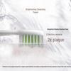 Philips Sonic Electric Toothbrush HX2461