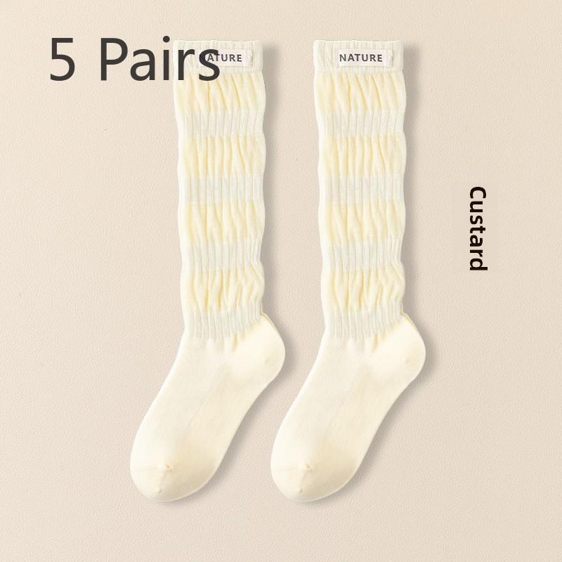 5 Pairs Women's Long Spring and Autumn Thin Boneless Cotton Mesh Slim Pile Summer Long Calf Socks