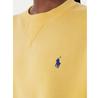 Толстовка Polo Ralph Lauren 211971697504