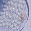 Tomoni Shell Light Nail Art Stickers: Peach Minnie & Colorful Butterfly Designs