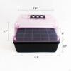 Germination Seed Starter Tray 22x16x16cm for Fruits Tomatoes Versatile Mini Greenhouse Transparent