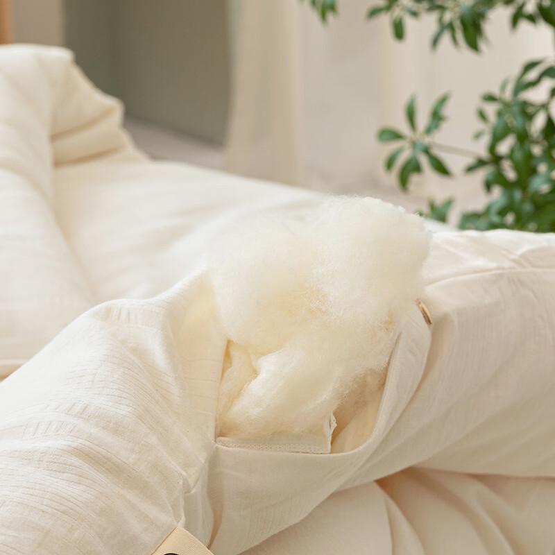 Brangdy Soybean Fiber Quilt