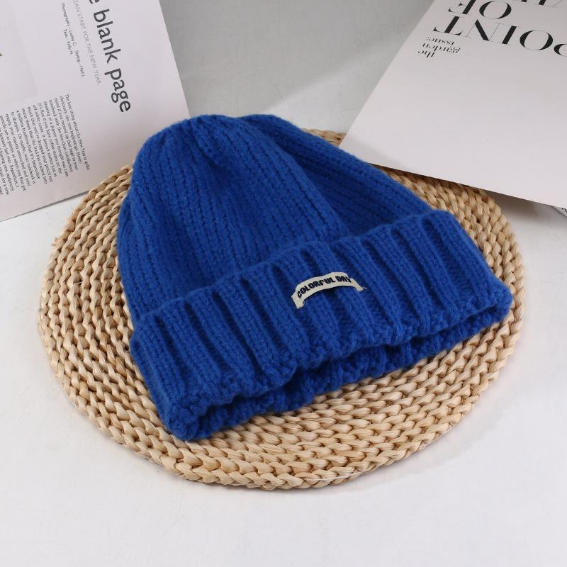 Women's Autumn and Winter New Big Head Circumference Warm Knitted Hat Korean Style Student Face Small Ear Protection Cold Hat Pile Hat