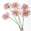 Long Branch Agapanthus Flowers Branch Fake Artificial Flower Fake Lotus Flower  Table Accessories