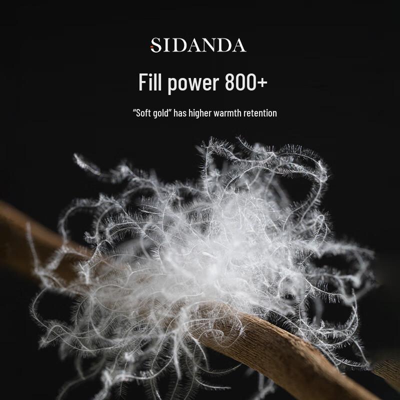 SIDANDA Polish White Goose Down Quilt
