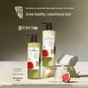 Hair Recipe Erfrischendes Volumen Shampoo