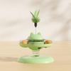 Pet Toy Rocker Spring Cat Turntable Leaking Food Cat Toy Self-pleasure Amusing Cat Play Plate