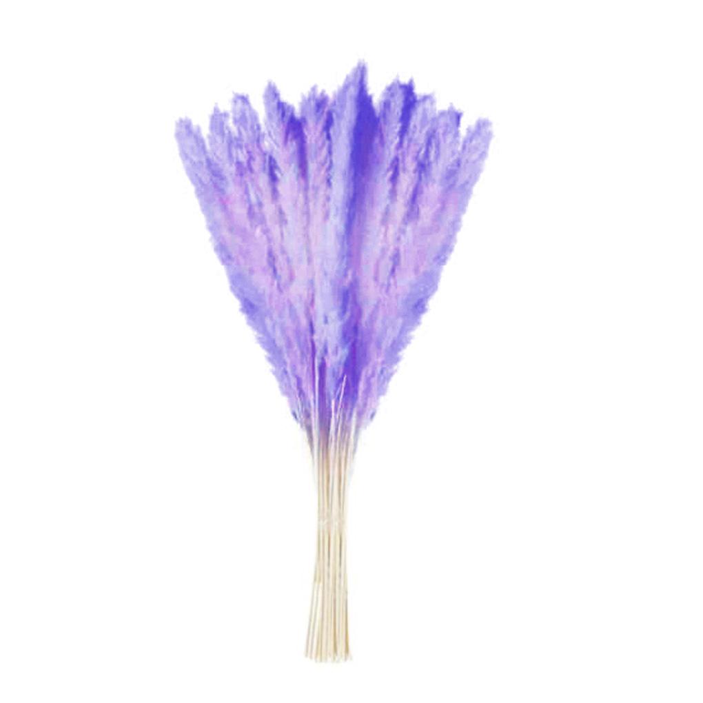 

15 шт./пучок сушеных пампасных цветов, трава, сделай сам, свадебный букет, украшение, долговечный, праздничный декор стола для вечеринки фиолетовый
