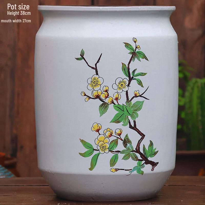 Large Coarse Ceramic Succulent Pot: Tall, Breathable, for Bougainvillea & Birds of Paradise