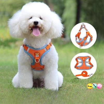 Çekmeyen Evcil Hayvan Köpek Tasması ve Kayış Seti Ayarlanabilir Yavru Kedi Tasması Yeleği Yansıtıcı Yürüyüş Tasması Küçük Orta Irk Evcil Hayvan İçin