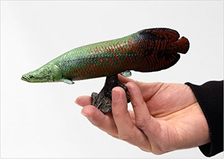 Pirarucu Soft Model (FF-002)