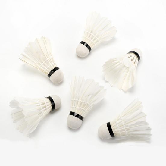 12Pcs Professional Badminton Shuttlecocks Tournament Grade Training Badminton Shuttlecocks High Speed Stable Flight Sport Accessories