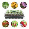 Thermal Versatile Eco-friendly Thermal Seedling Tray Plastic Greenhouse Bestseller Wholesale Thermal Insulation Space-saving