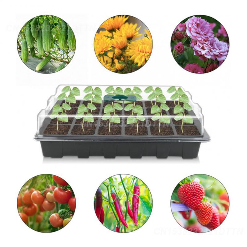 Thermal Versatile Eco-friendly Thermal Seedling Tray Plastic Greenhouse Bestseller Wholesale Thermal Insulation Space-saving