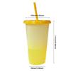 10 Pcs Reusable Plastic Cups with Lids & Straws Color Changing Cups Cold Iced Coffee Cups 24 OZ Ice Cold Drinking Cup for Drinks
