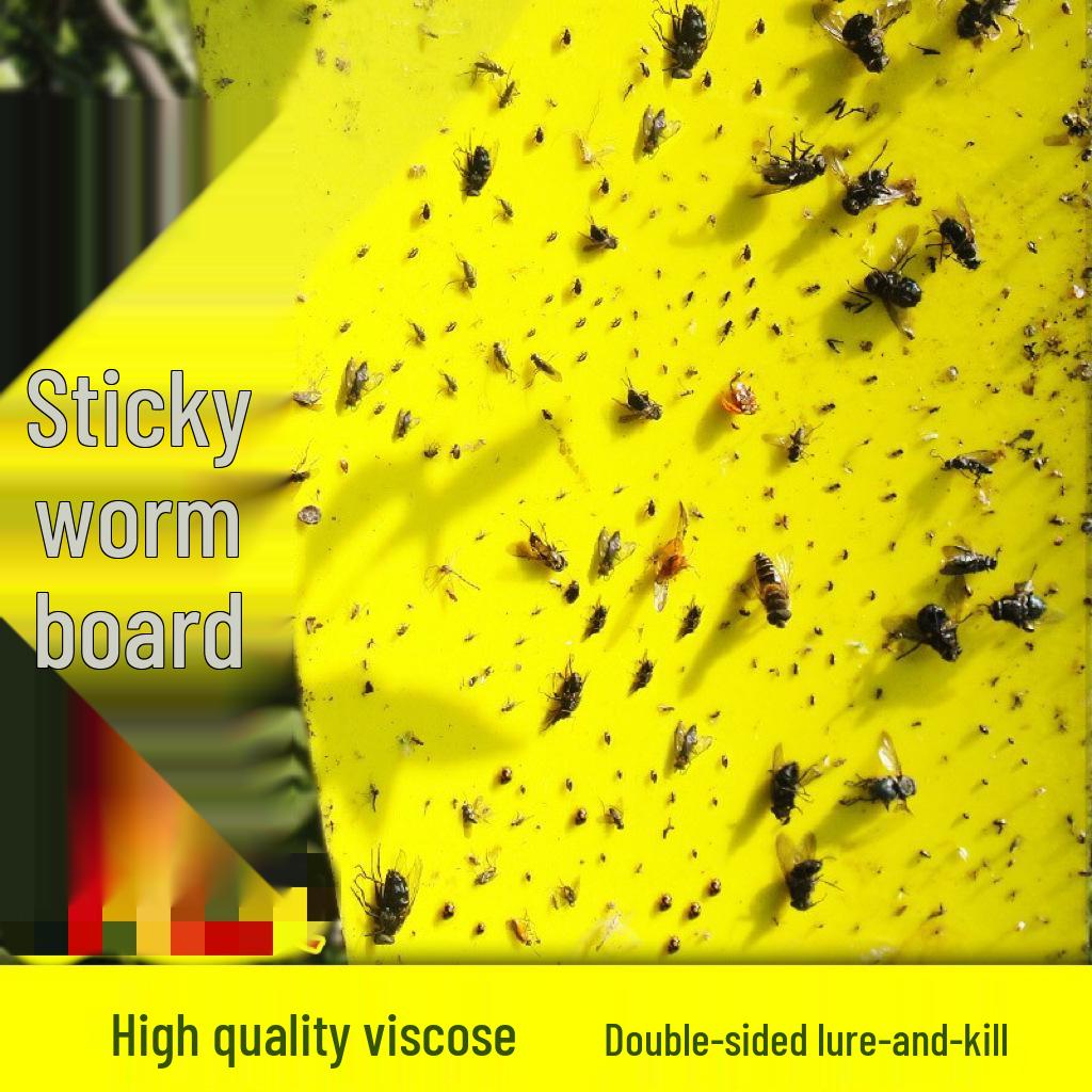 Double-Sided Yellow & Blue Sticky Trap for Flying Insects and Thrips In Horticulture