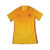 Nike Dri-Fit Player Edition V-Neck Soft Pullover Short Sleeve Soccer Shirt Unisex Tops 846323-719