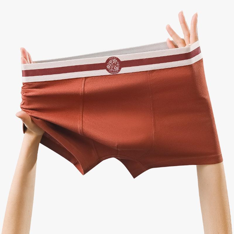 Plus Size Men's New Summer Cotton Anti Bacterial Breathable Sport Boxer Briefs