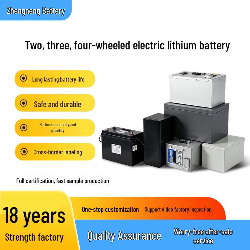 60V Lithium Iron Phosphate Battery for Electric Delivery Motorcycles (Two/Three-Wheel)
