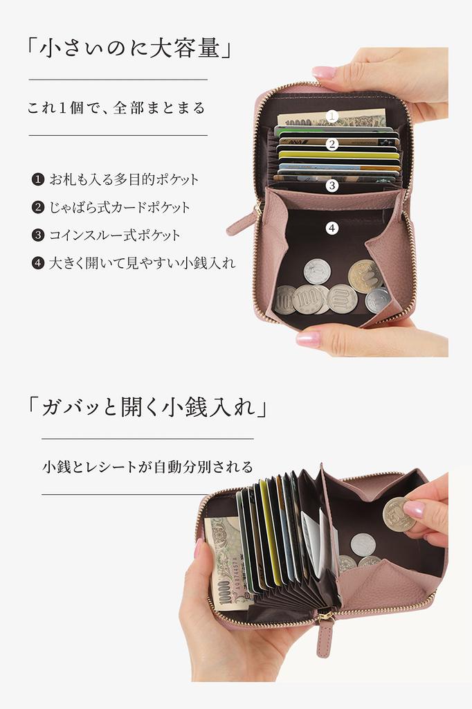 LASIEM Genuine Leather Mini Wallet with Card Skimming and Stores Bills Without Folding Women's Case, Prevention, Coin-Through Feature, (Black)
