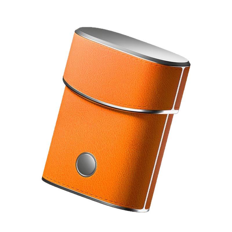 Portable Waterproof Electric Shaver with Leather Case - Men's Gift Set