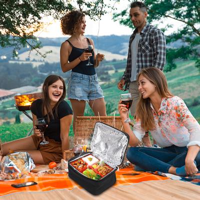 Electric Lunch Box 2.7L Heater Container Thermal Heated Lunch Box with Handle Portable Food Heater for Car Travel Picnic