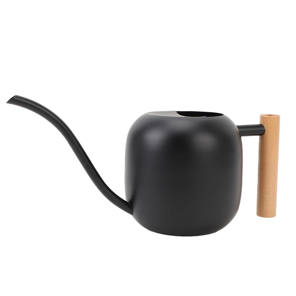 Gießkanne für Zimmerpflanzen Edelstahl Holzgriff Gießkanne mit langem Ausguss