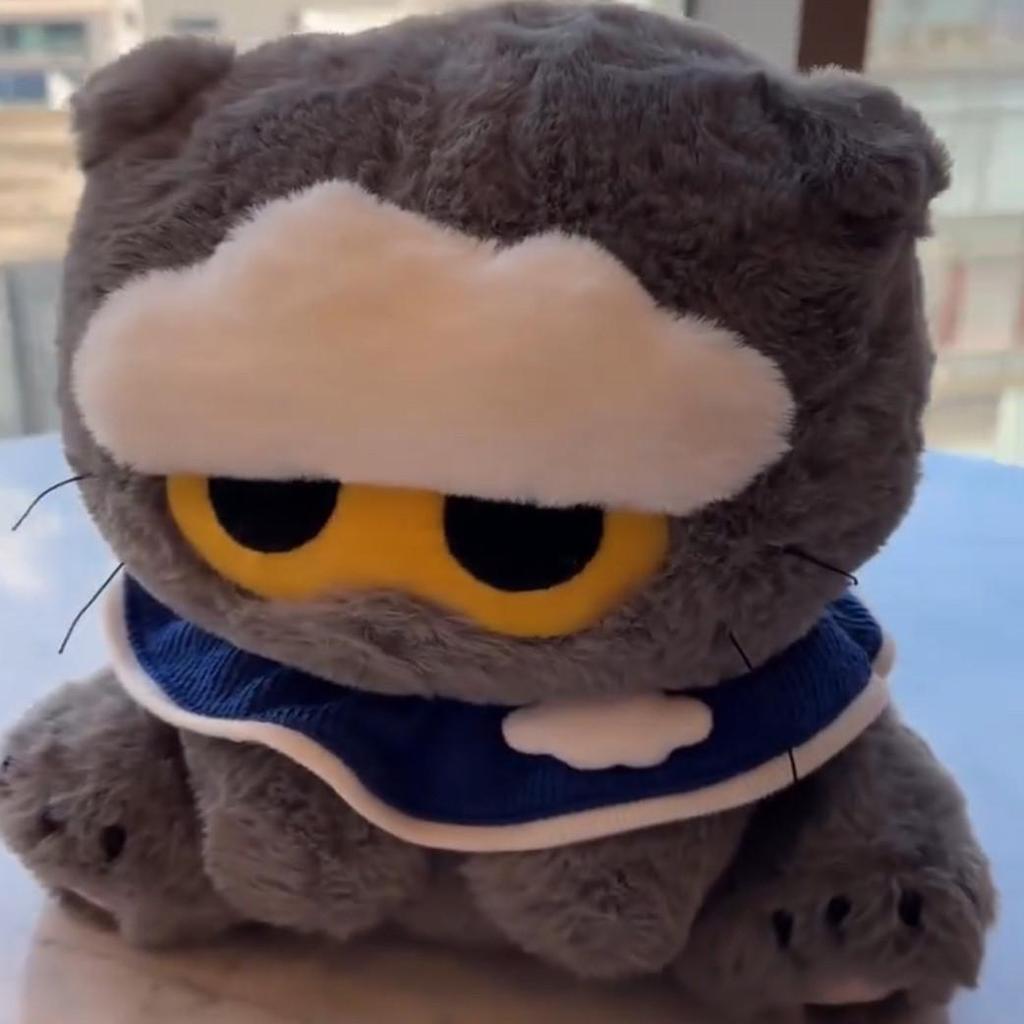 G-Dragon Katze Plüschtier Kätzchen Zoa Schlüsselanhänger Puppe Figur