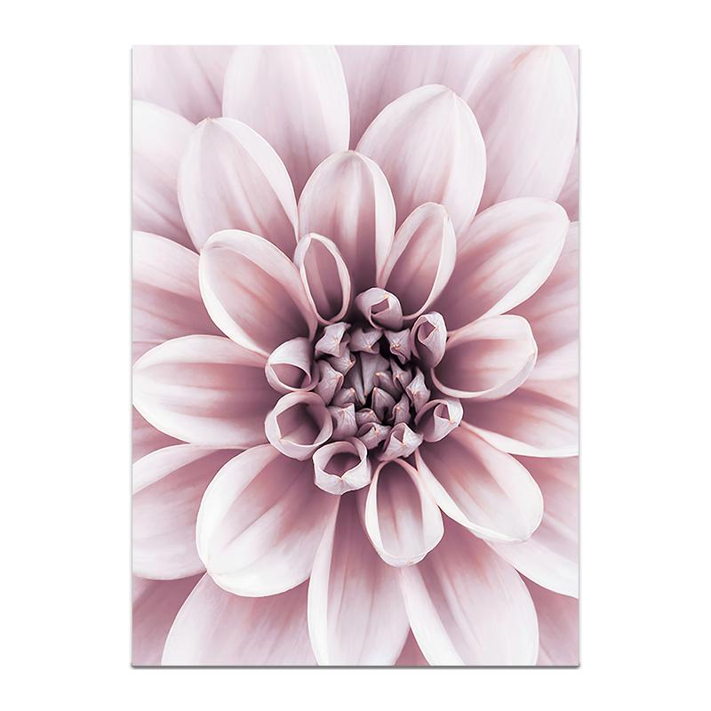 

Картина на холсте с розовыми цветами, скандинавское растение, настенное искусство, постер, печать, декоративная картина, современная гостиная, домашний декор, без рамы 20x30cm