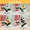 Butterfly Orchid Artificial Plant With 3d Printing For Home Decor And Photography Props