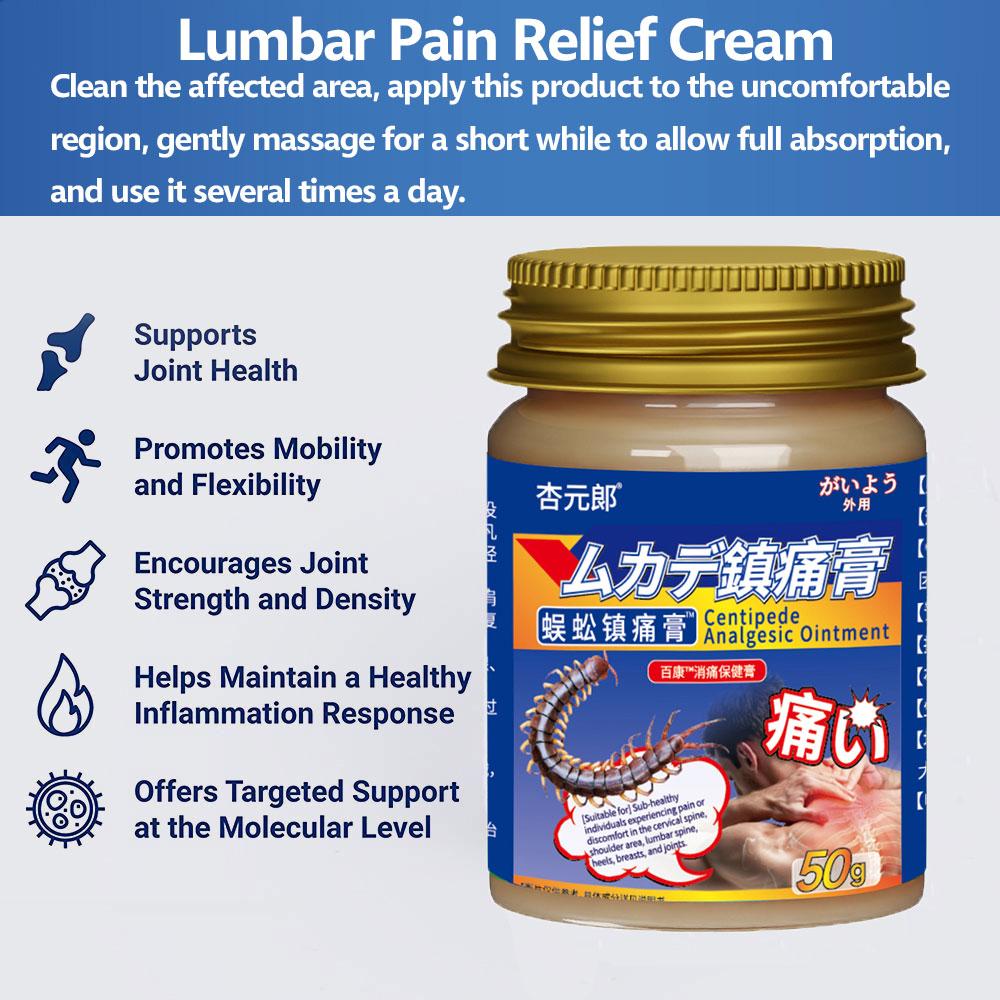 Non-Irritating Back Care Cream - Organic Herbal Long-Lasting Lower Back