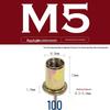 Stainless Steel & Carbon Steel Zinc-Plated Vertical Grain Through Hole Rivet Nut