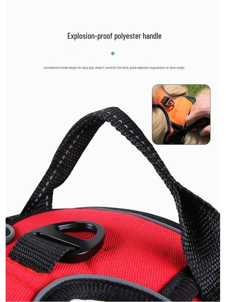 Reflective No-Pull Dog Harness and Leash Set for Large Dogs