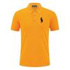 Polo Ralph Lauren Letní nové Pony Vyšívané Neformální Sportovní Polo Tričko, Odvádějící Pot a Absorpční Vlhkost Čisté