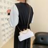 Fashion Chain Bag Women's 2025 Spring New Retro Simple Shoulder Shell Bag Casual Messenger Bag Women's Bag