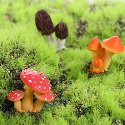 Ev Dekoru – Dekoratif Terraryumlar