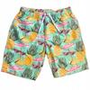 Beach Shorts Youth Hawaiian Shorts Mesh Swim Trunks Slim M