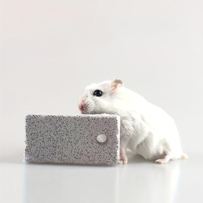 5 Stück - Natürlicher Mineral-Molar für Haustiere - Fördert die Gesundheit von Zähnen und Zahnfleisch - Essentiell für die Zahnpflege kleiner Haustiere