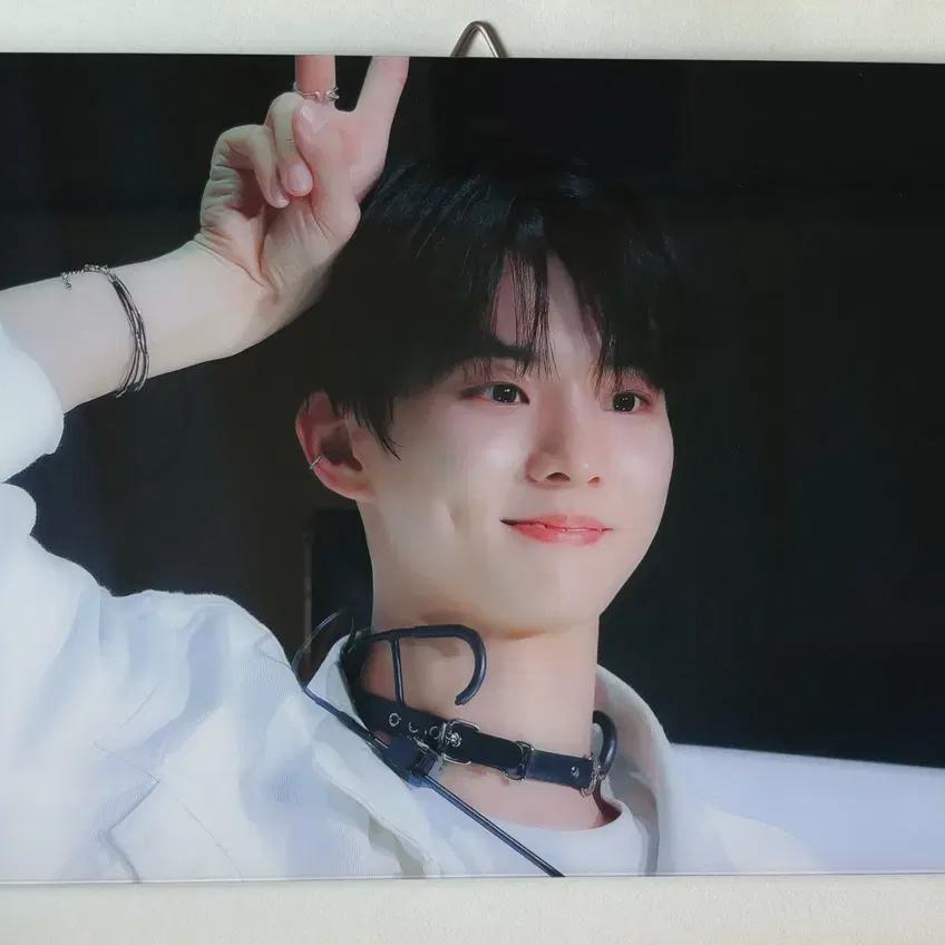 

Срочный источник Theboyz Q Рамка A4 Джи Чан-мин Укрытие