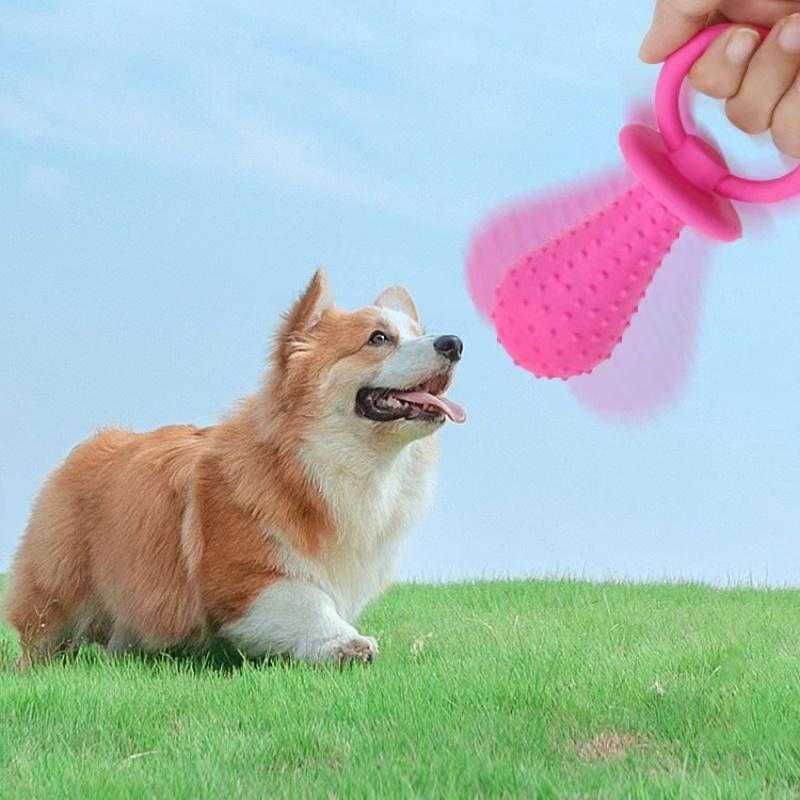 Toys For Small Dogs Indestructible Dog Toy Teeth Cleaning Chew Training Toys Pet Supplies