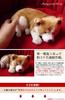 Ninian and Kino Perfect Pet Shiba Inu Cute Dog Plush Toy (Small Size) Dog, Realistic, Lifelike, Animal, Soothing, Moving, Present, Gift, Celebration,