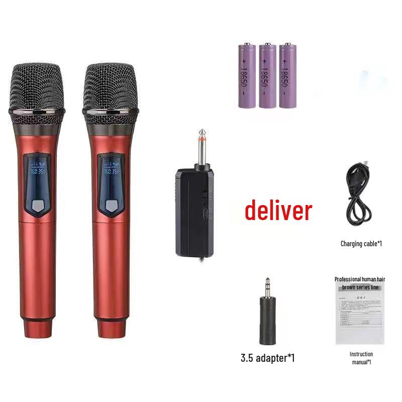 Rechargeable Dual Wireless Handheld Microphone for Outdoor Events and Live Broadcasts