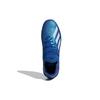 Adidas X 19.1 'Royal Blue' EG7136