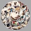 50 Cute Siamese Cat Stickers: Waterproof, Cartoon Pet Decorations for Cups and Journals