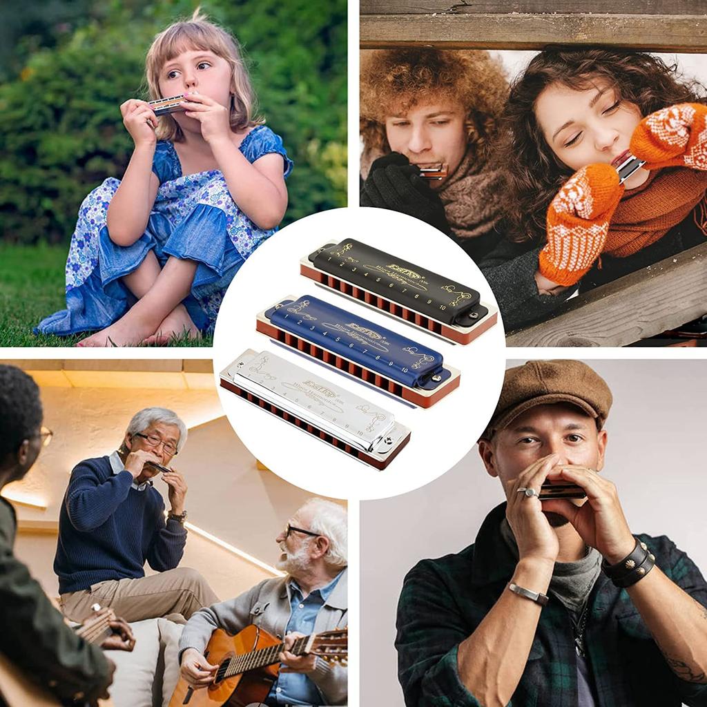 East Top Blues Harmonica, 10-Hole, C Key, 20 Tones, Brass Cover, Canvas Case, Cleaning Cloth, Diatonic Harmonica for Beginners and Professionals, Stud