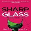 Sharp Glass by Sarah Hilary Paperback Book 9781035005116