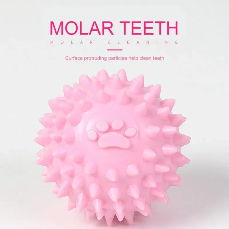 TPR Dog Chew Toys Spiky Ball & Slipper Shape Bite-Resistant Teething Toys for Puppies Dental Cleaning