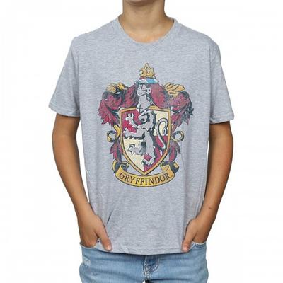 Boys Gryffindor T-Shirt